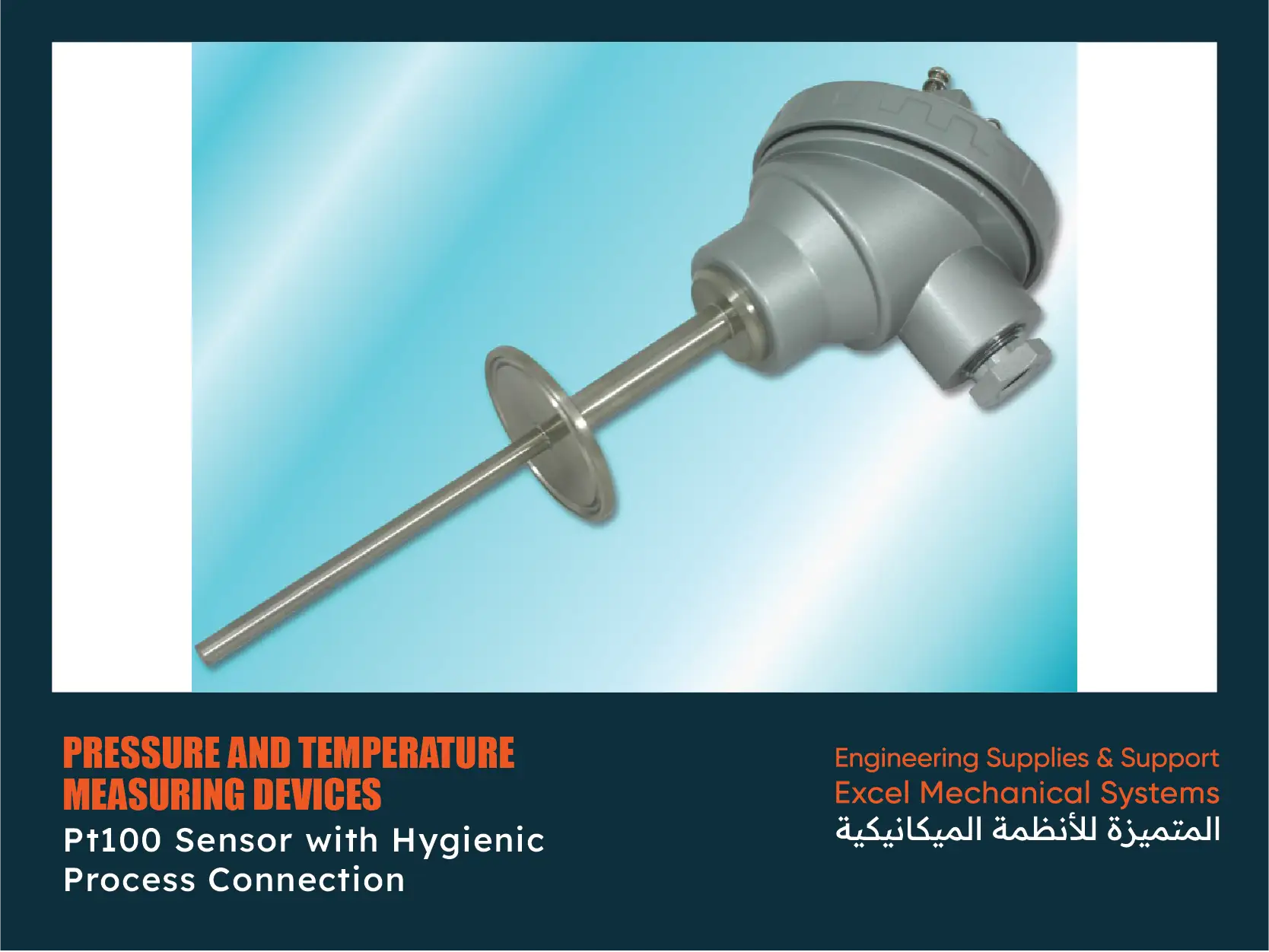 Pt100 Sensor with Hygienic Process Connection